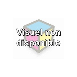 Cartouche compatible epson t0540 glossy 18ml pour R800